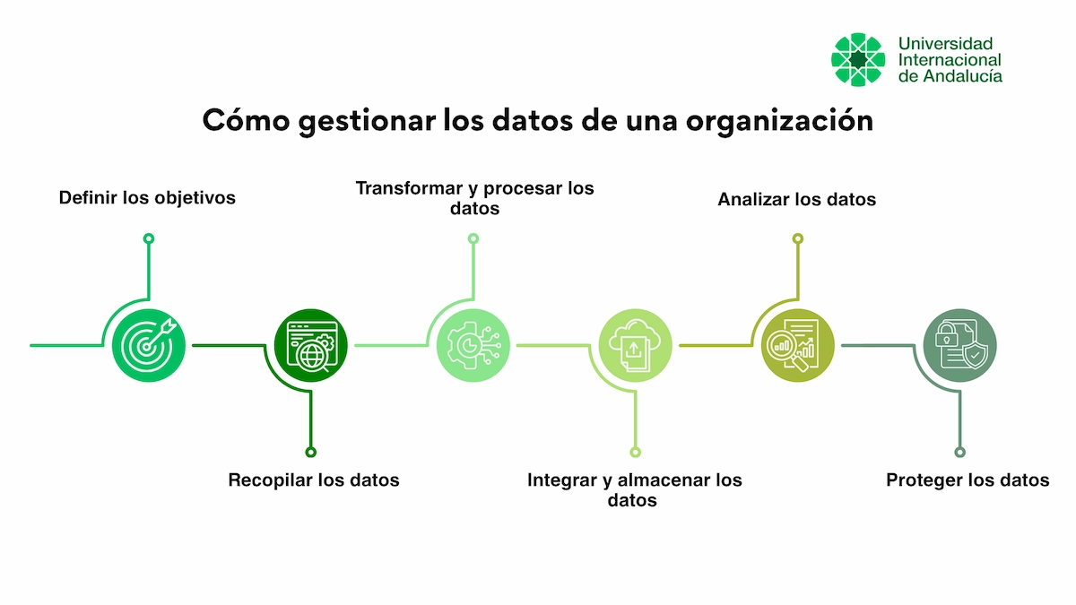 Cómo organizar datos