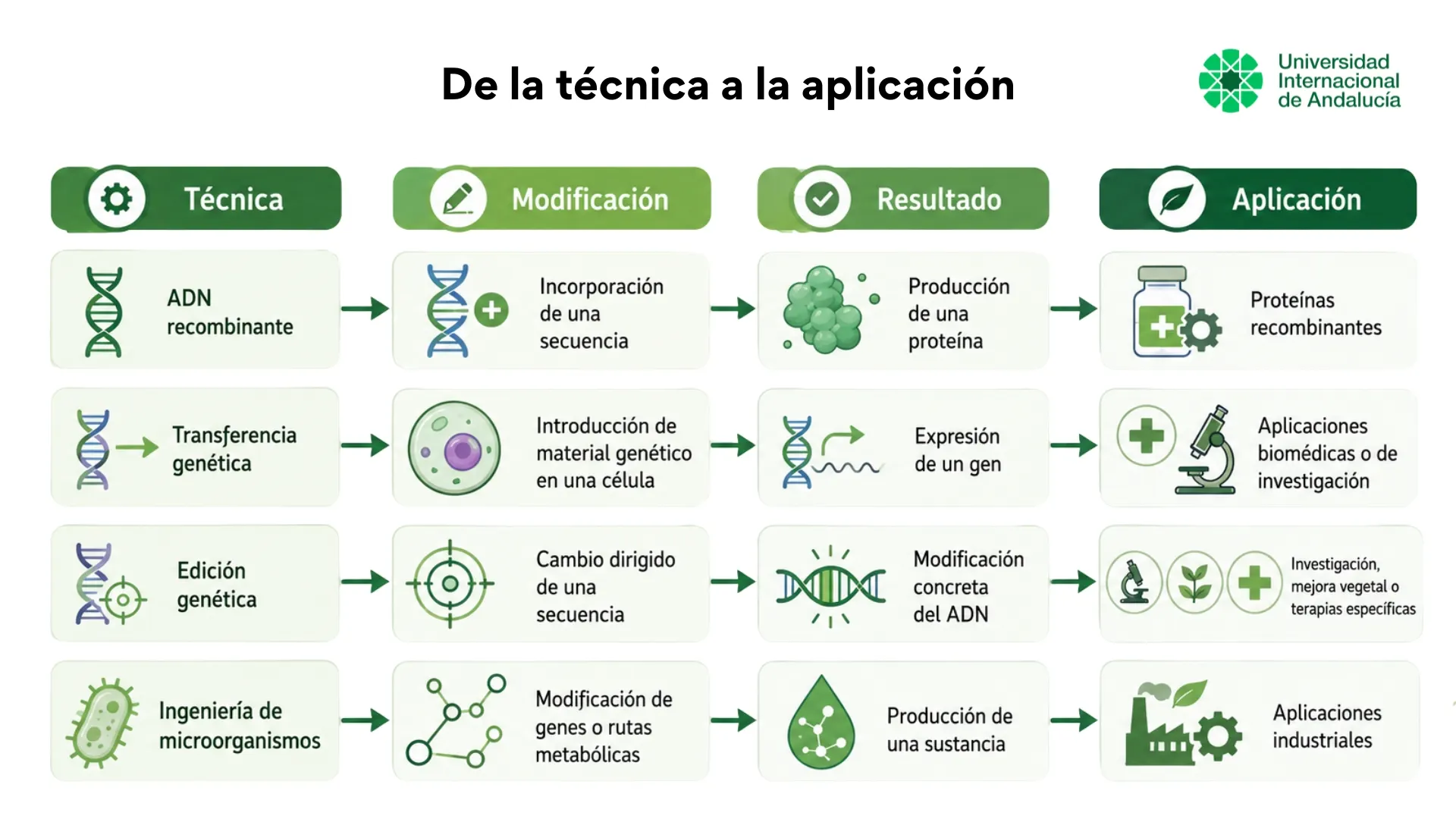 como funciona la ingeniería genética