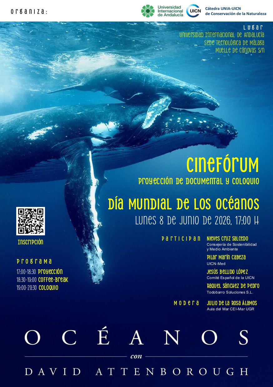 Cartel Día de los Oceános 1