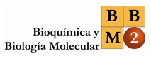 Workshop Transcriptional memory in health and disease