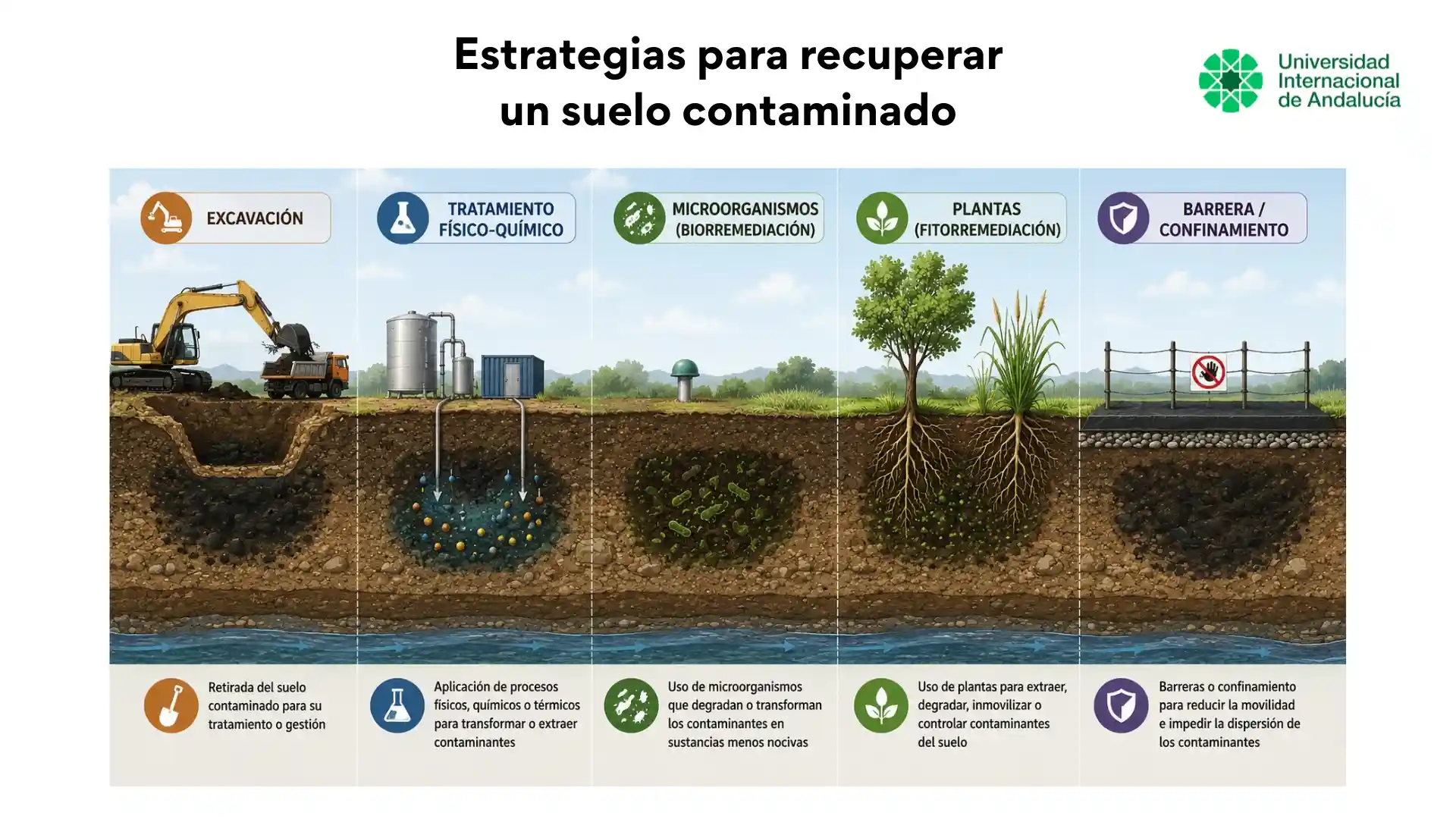 Principales estrategias para recuperar suelos contaminados mediante excavación, tratamientos, microorganismos, plantas y contención
