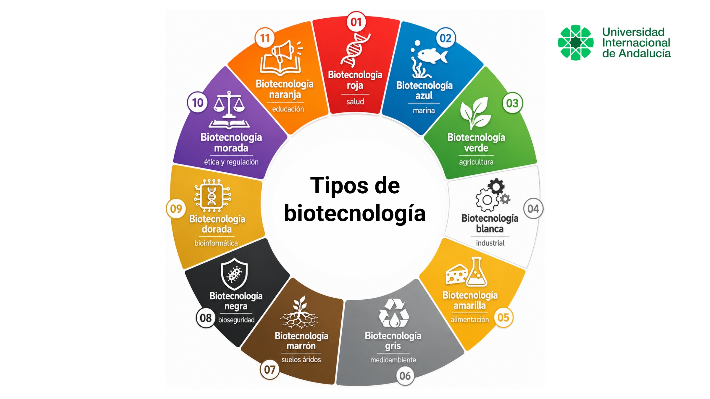 infografías tipos de biotecnologia