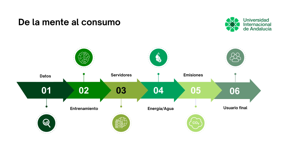 infografías_artículos_UNIA_2_2.webp