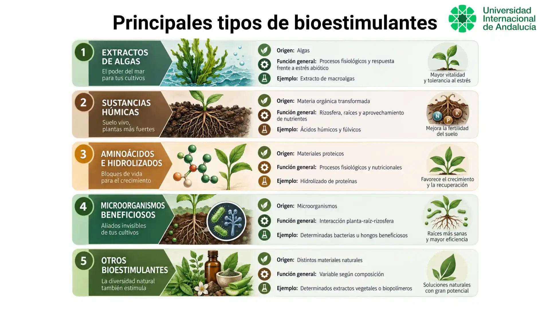 Principales tipos de bioestimulantes agrícolas según su origen, como extractos de algas, sustancias húmicas, aminoácidos, microorganismos beneficiosos y otros compuestos naturales