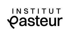 Workshop Transcriptional memory in health and disease