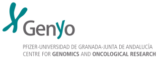 Workshop Transcriptional memory in health and disease