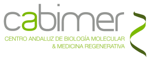 Workshop DNA–Protein Crosslinks: Mechanisms and Links to Rare Genetic Disorders