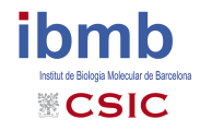 Workshop Transcriptional memory in health and disease