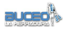 Técnicas de buceo científico para el seguimiento de la biodiversidad marina
