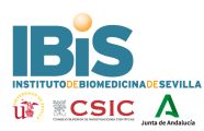 Workshop DNA–Protein Crosslinks: Mechanisms and Links to Rare Genetic Disorders