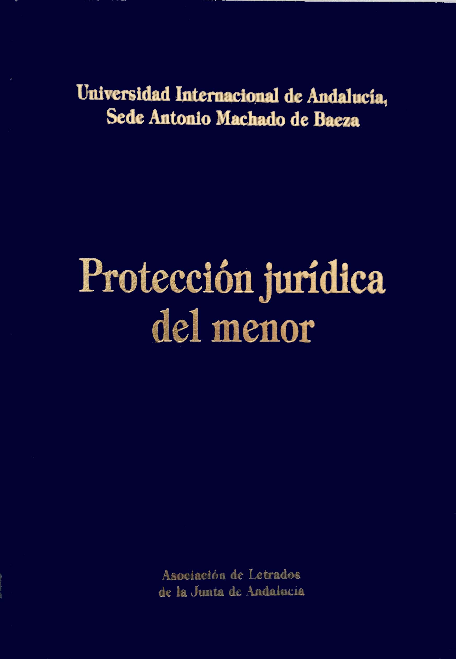Protección jurídica del menor