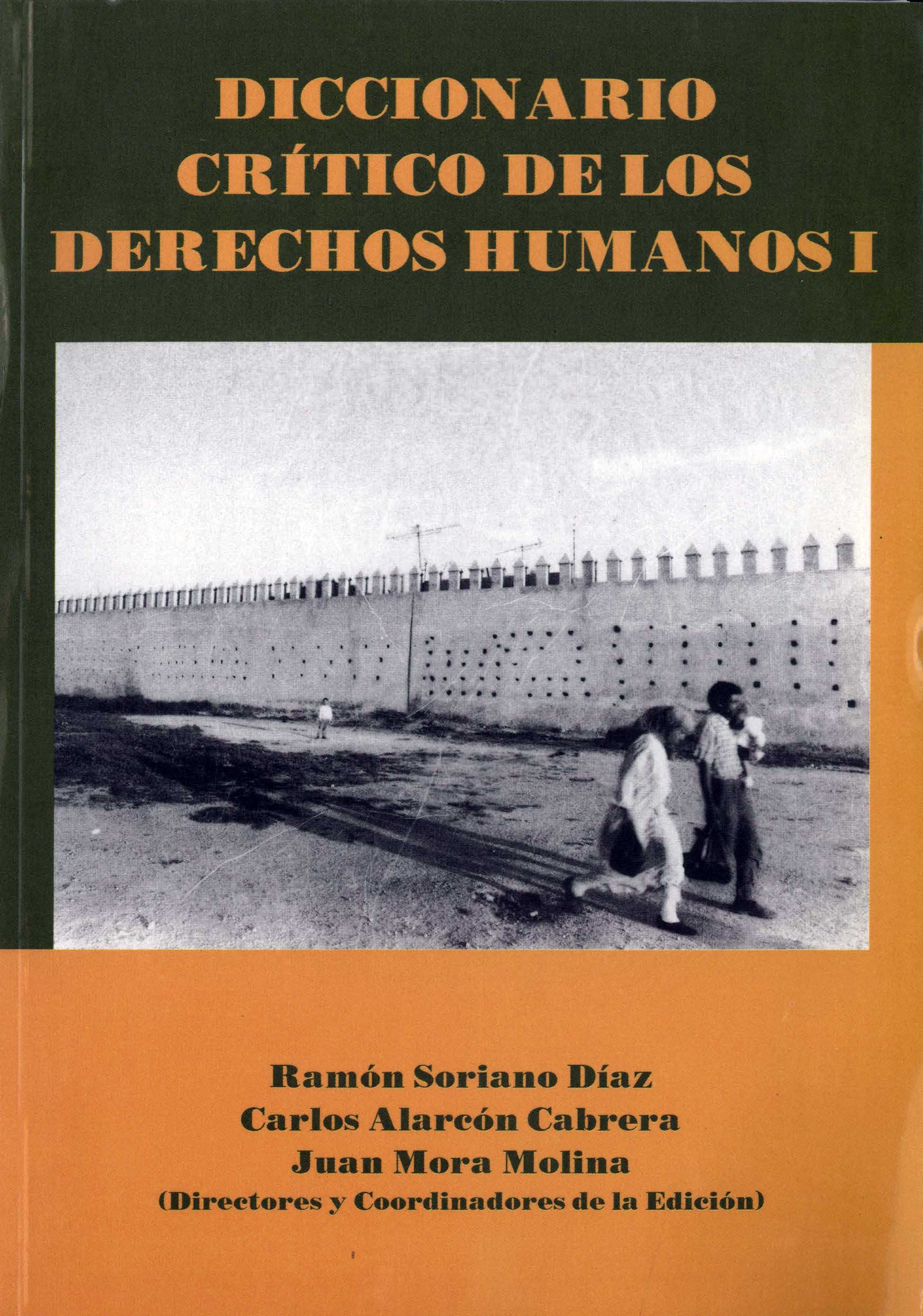 Diccionario Crítico de los Derechos Humanos