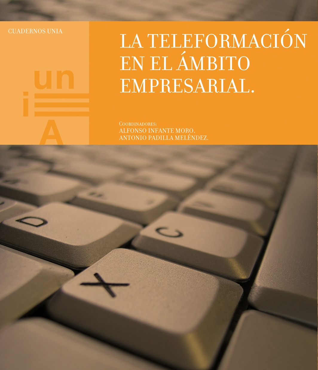 La Teleformación en el ámbito empresarial