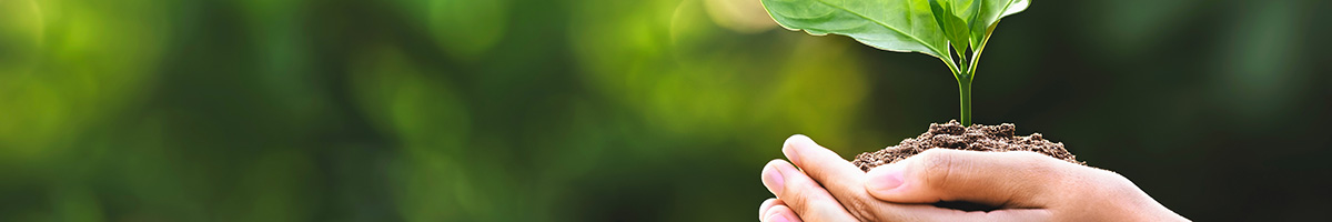 Máster Universitario en Agroecología: un Enfoque de Transformación Sustentable de los Sistemas Agroalimentarios