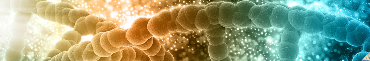 Máster Universitario en Simulación Molecular