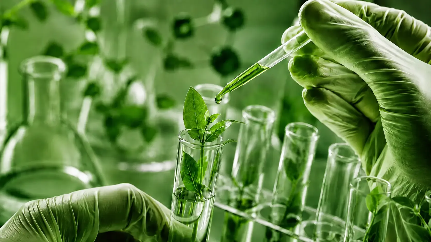 Biotecnología vegetal